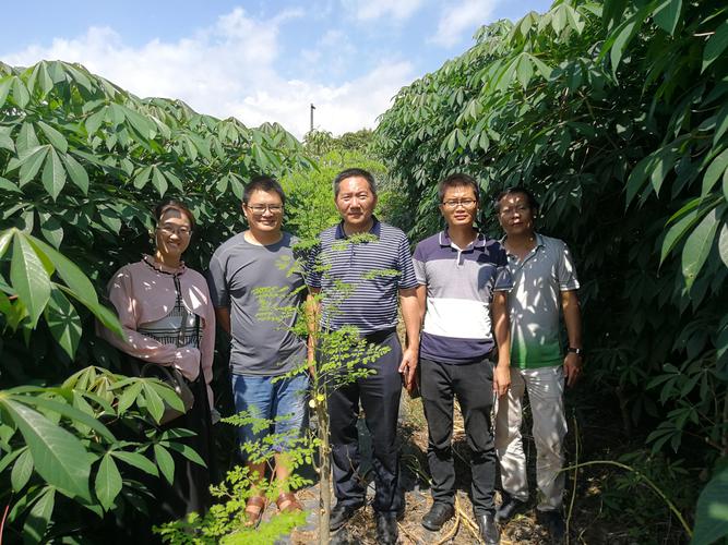 云南省热带作物科学研究所木薯,辣木试验示范基地参观学习